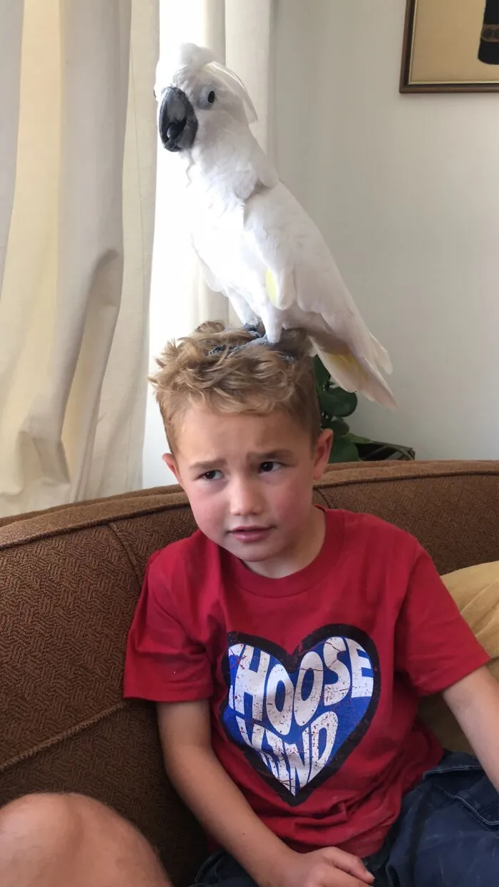 Found Her Spot And She Wasn’t Leaving, My Son Was Very Concerned.