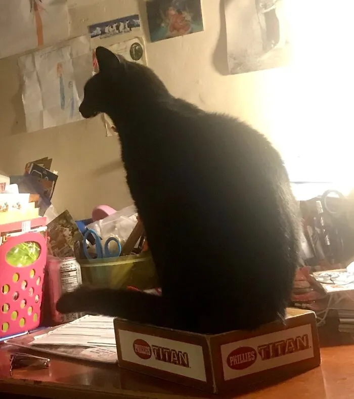 Betty Yawning