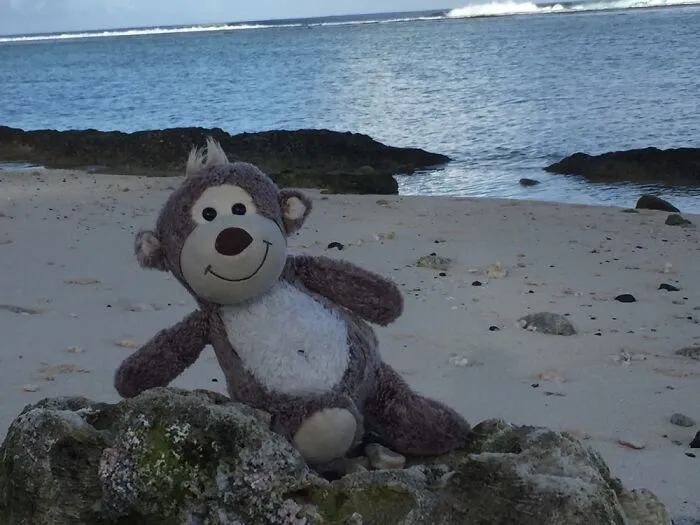 “Maui” On The Beach In Rarotonga
