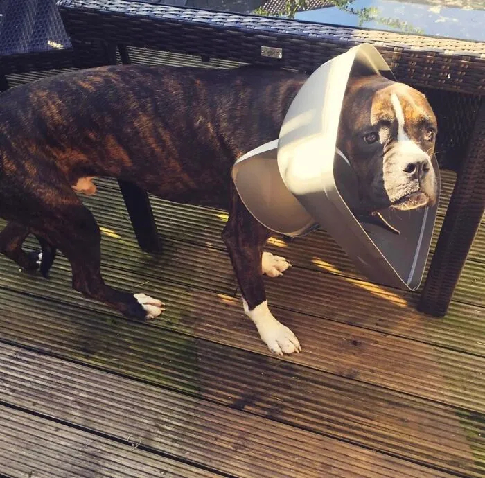 Nope, Wasn’t Me In The Bin.