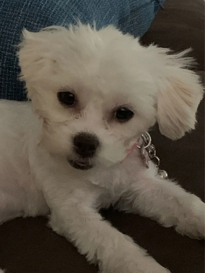 My First Haircut! I’m Adorable & It Only Took 1 Month To Train Mommy