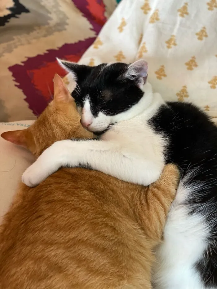 Brother Love ❤️