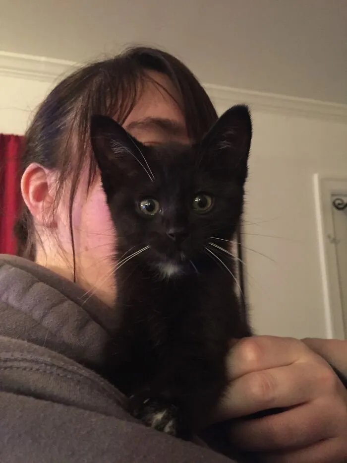 Alice At 8 Weeks