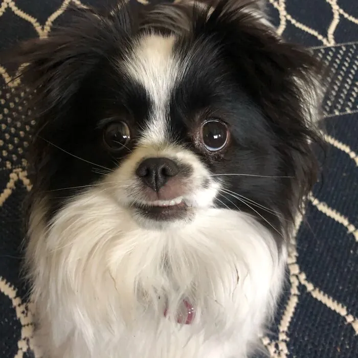 Feeling Cute