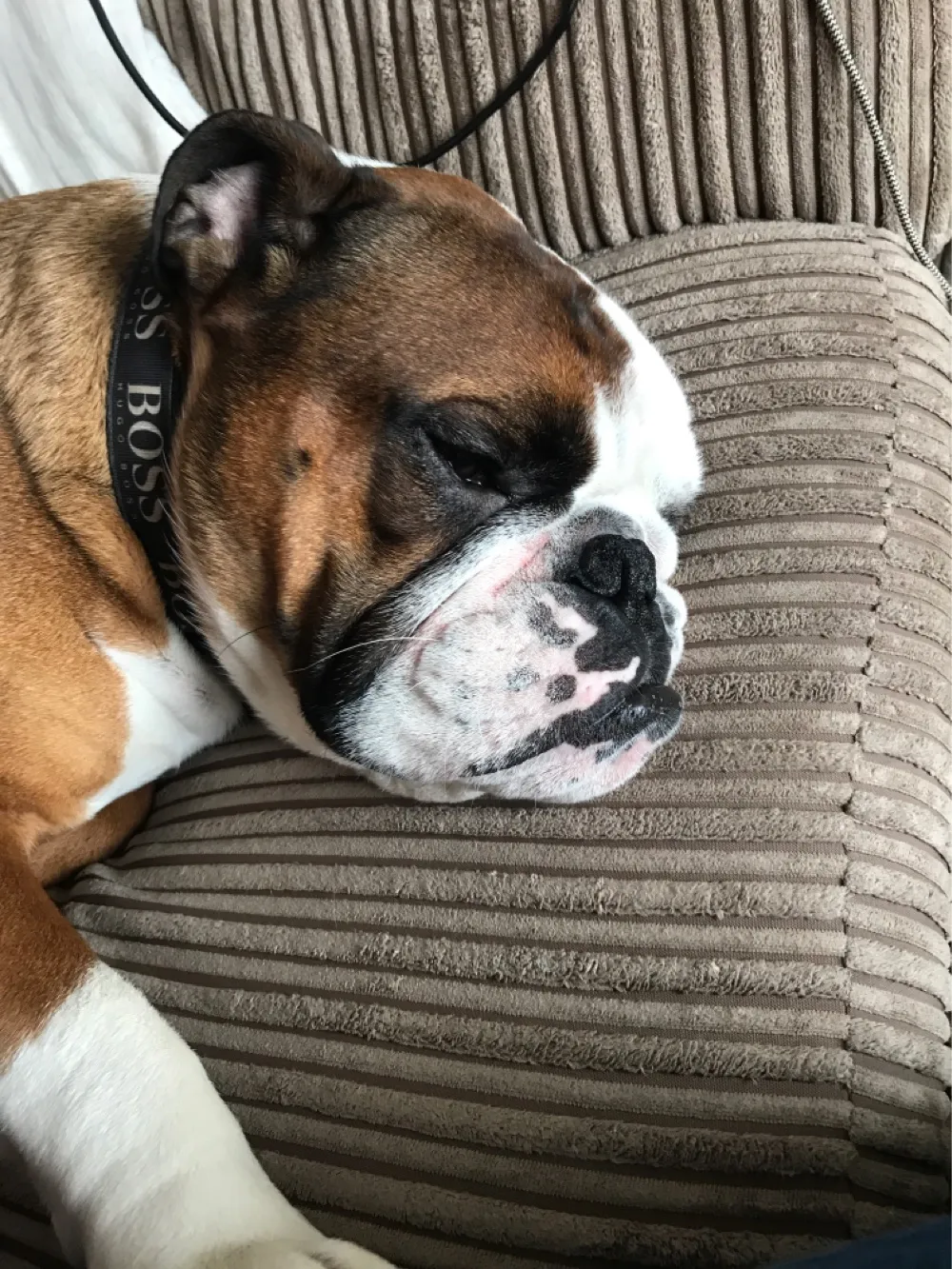 Hugo