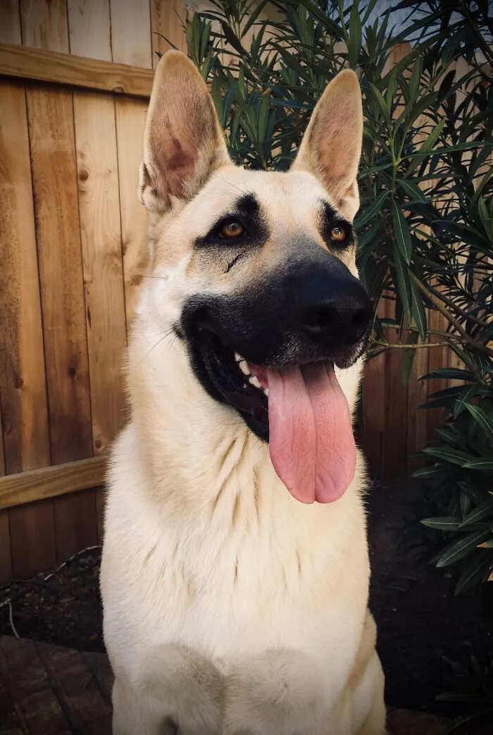 My Tucker