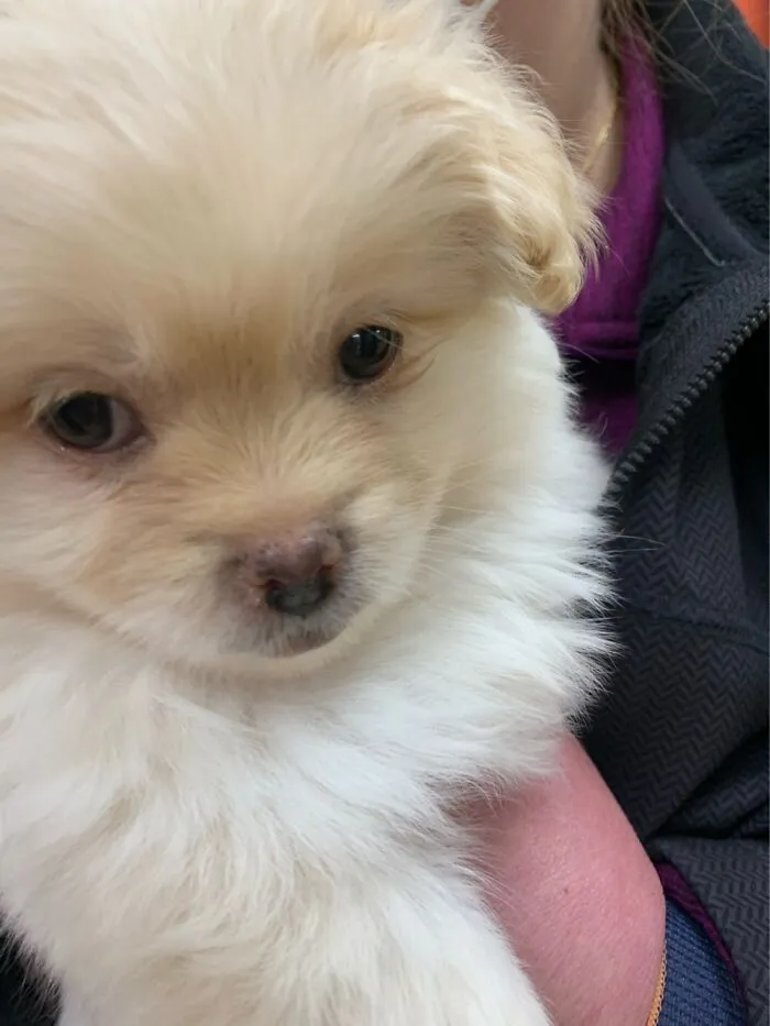 Cute Baby