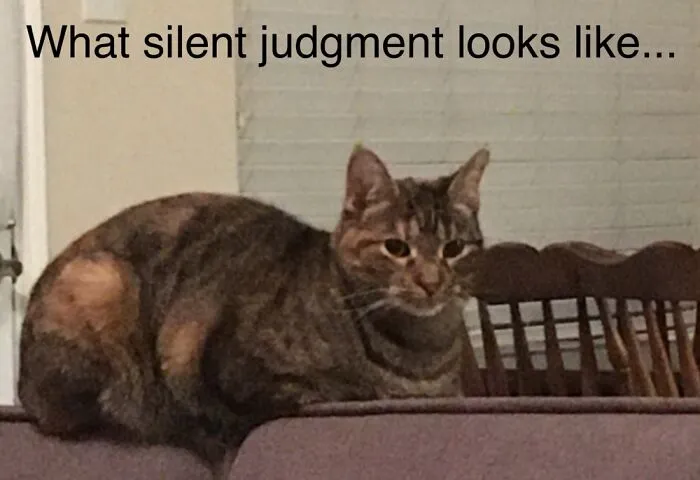 That Stare