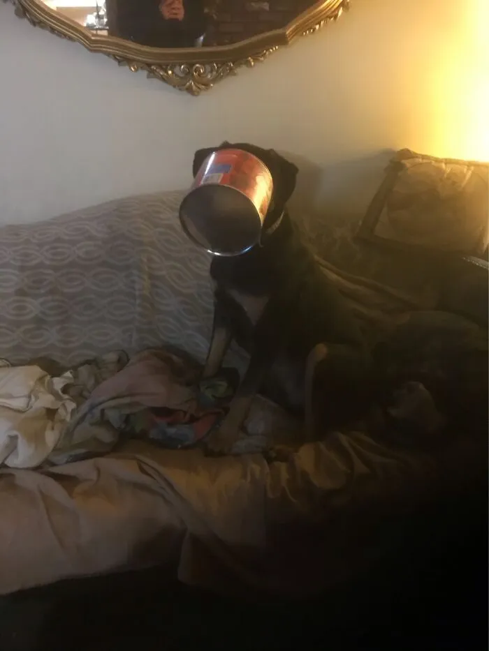 His Obsession With His Tin Coffee Can