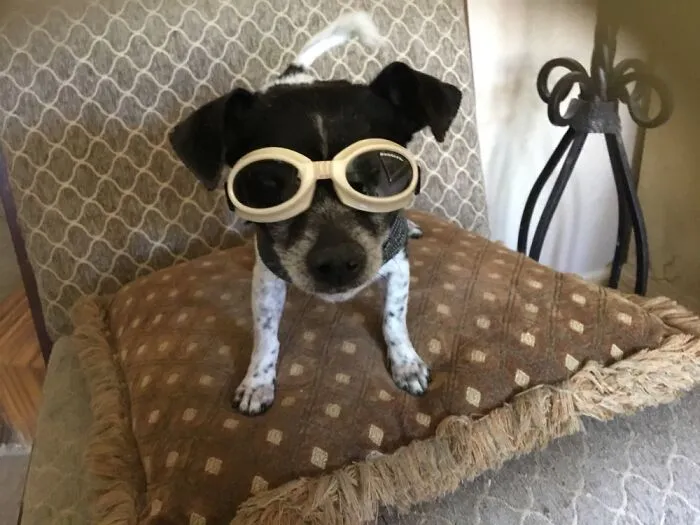 She Had A Little Eye Infection And Had To Wear Protection.
