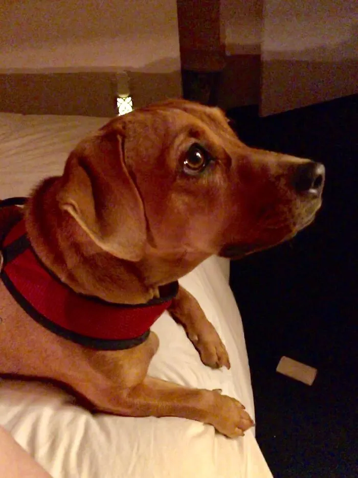 Zoe Trying To Look As Wholesome As Possible!