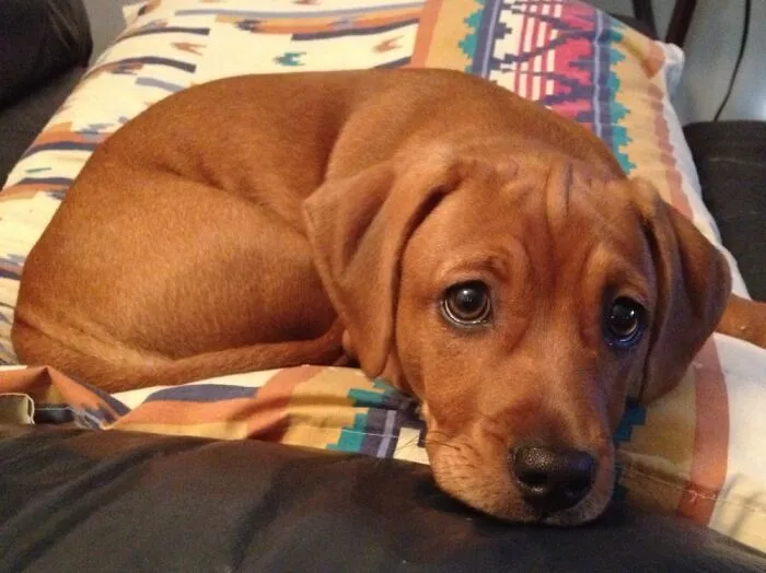 Beautiful Zoe!