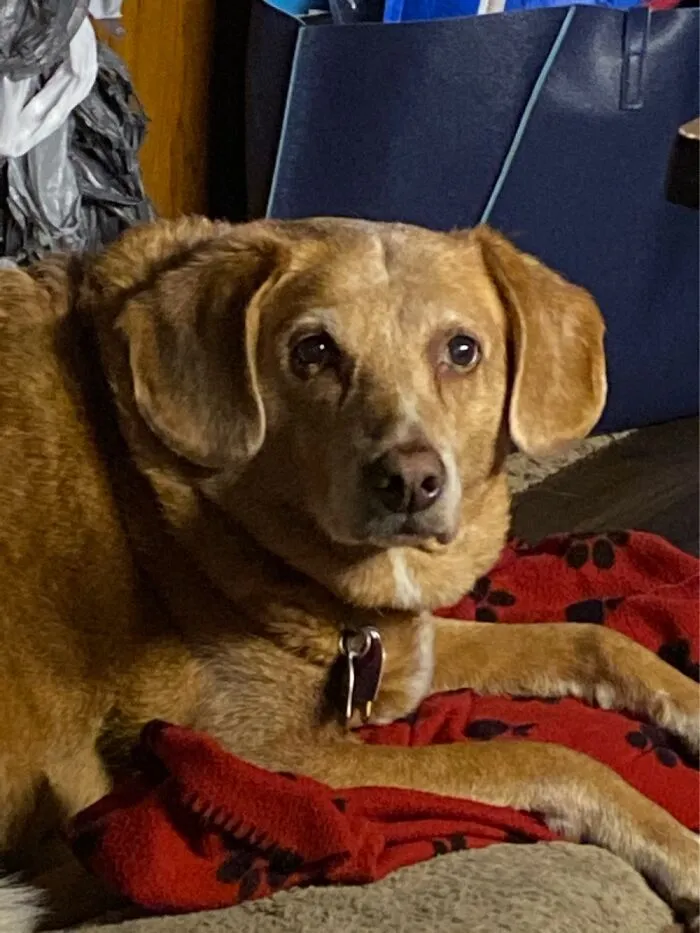 Bailey