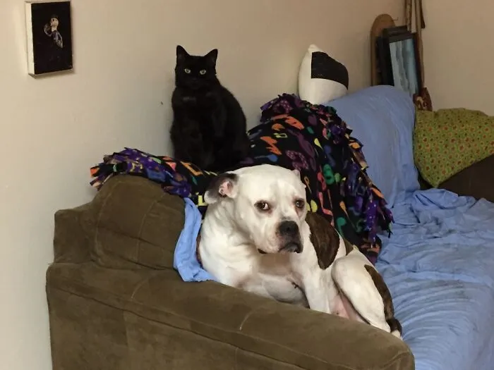 He’s Right Behind Me, Isn’t He?