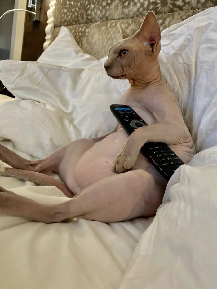 That’s How I Spend My Evenings