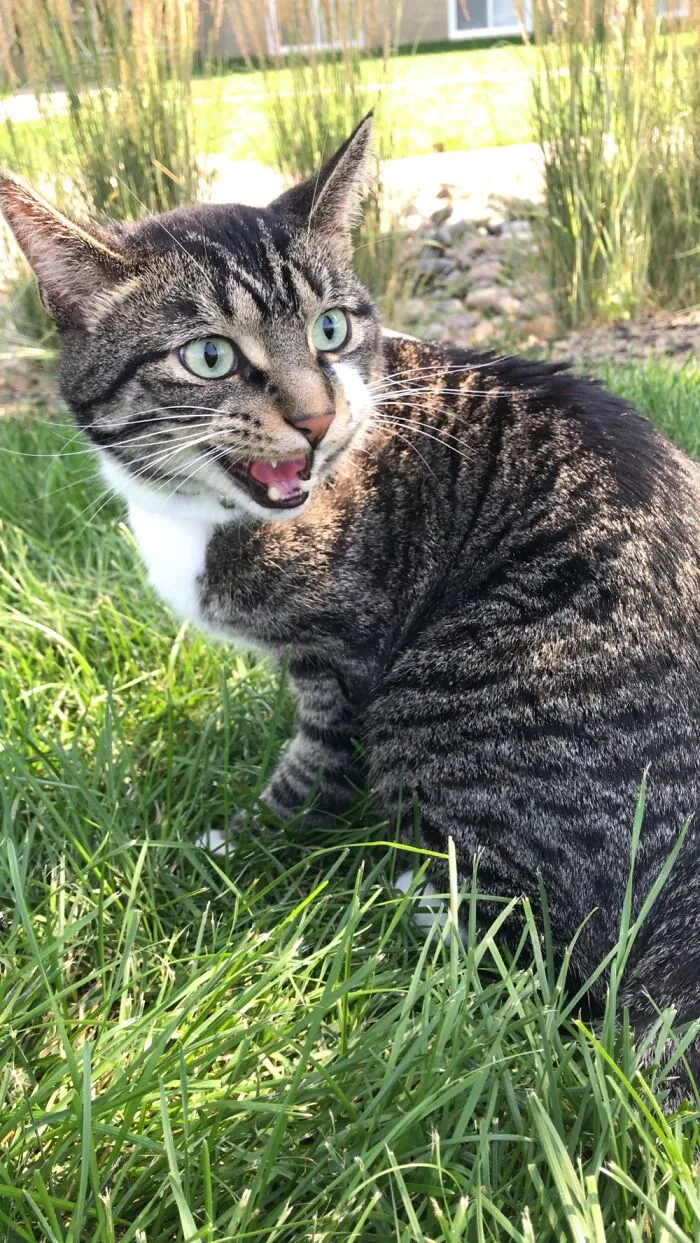 Get Off My Lawn!! -Lennon