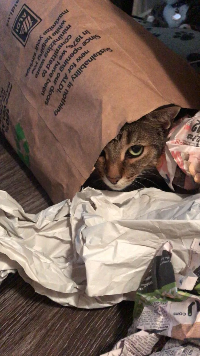 It’s My Bag! -Jude