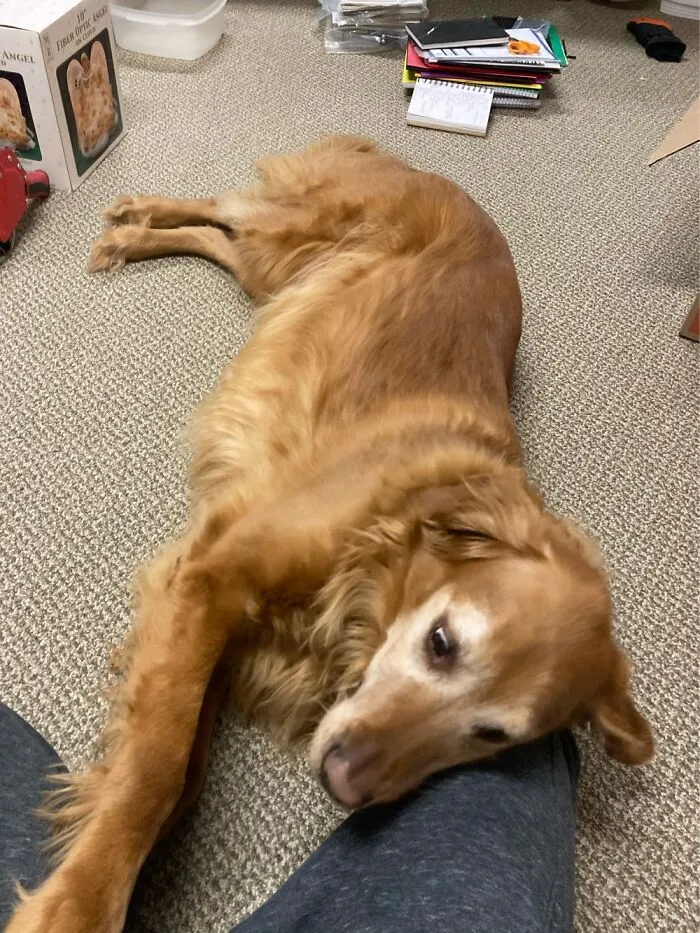 Copper!