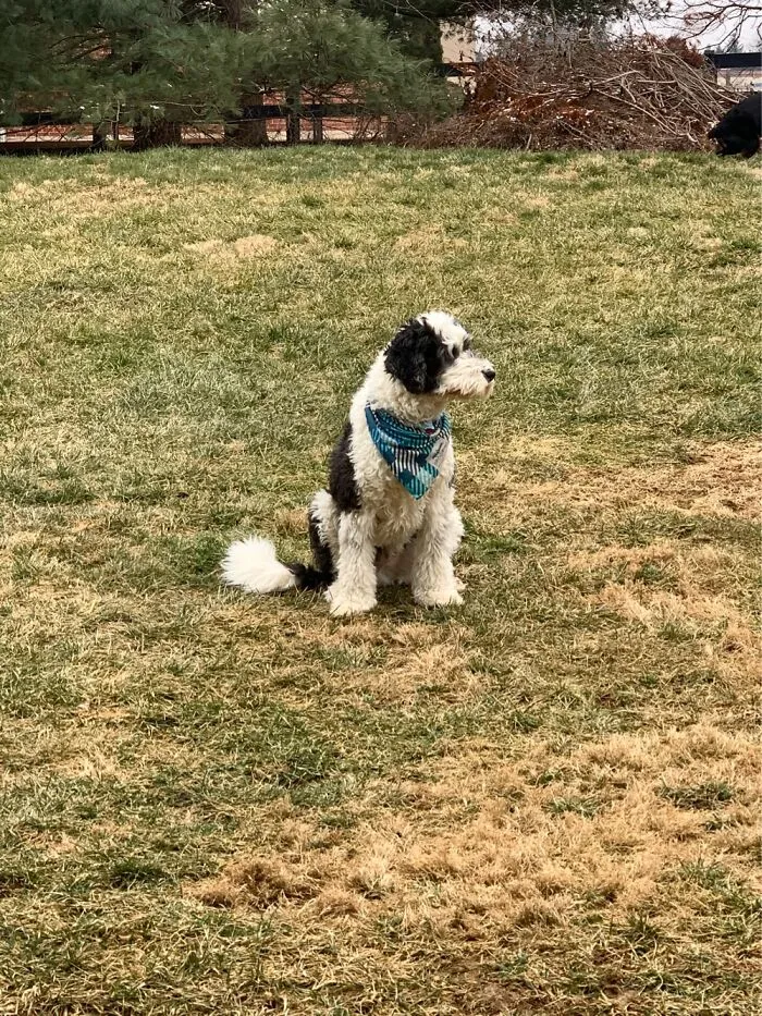 When It’s Cold Out Let’s Just Sit And Not Potty