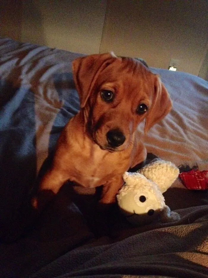 Adorable Zoe!