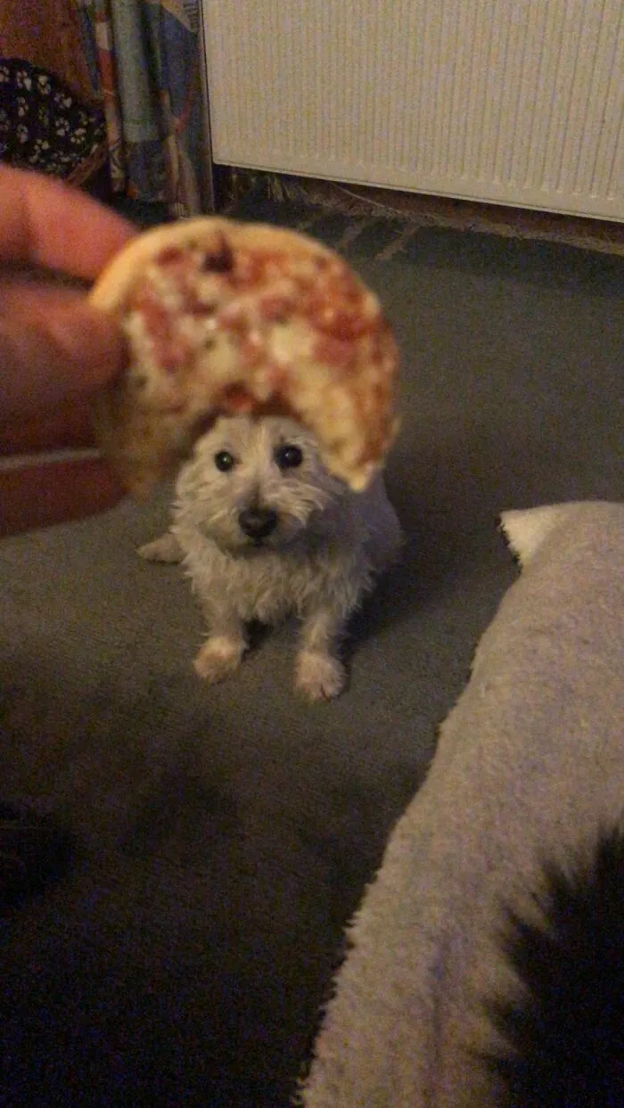 Pizza Hut I Guess