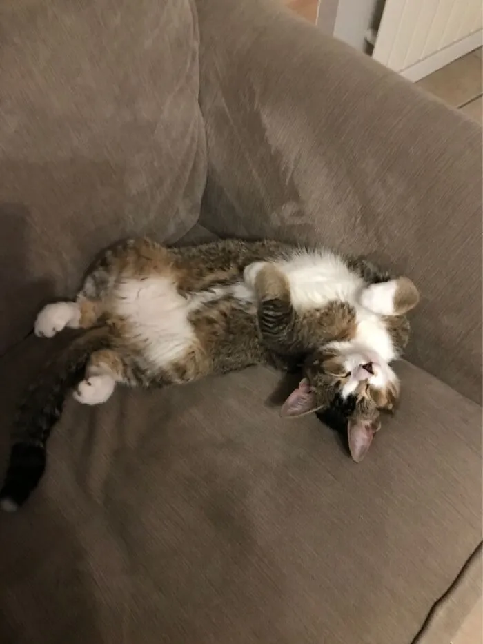 Looks Comfy Keith!