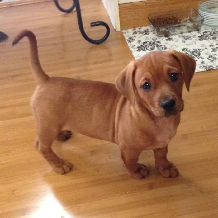 Baby Zoe!