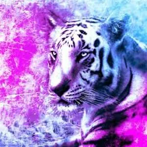Tigersfor1