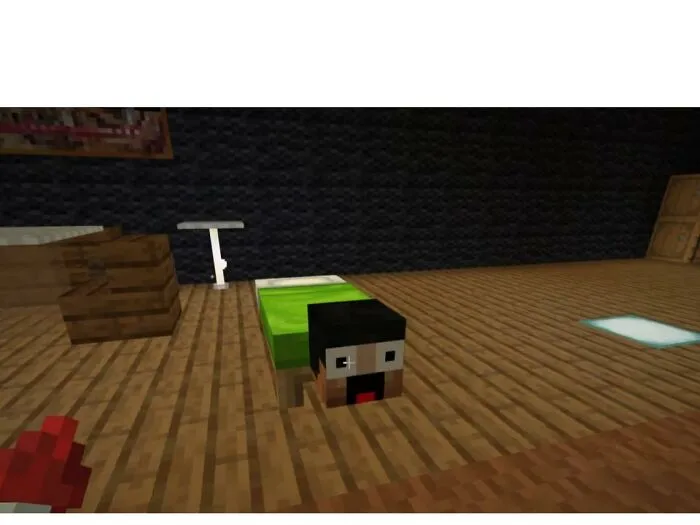 #2 Keralis Turtle