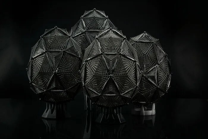 Easter Eggs "Parrocchetto" Black