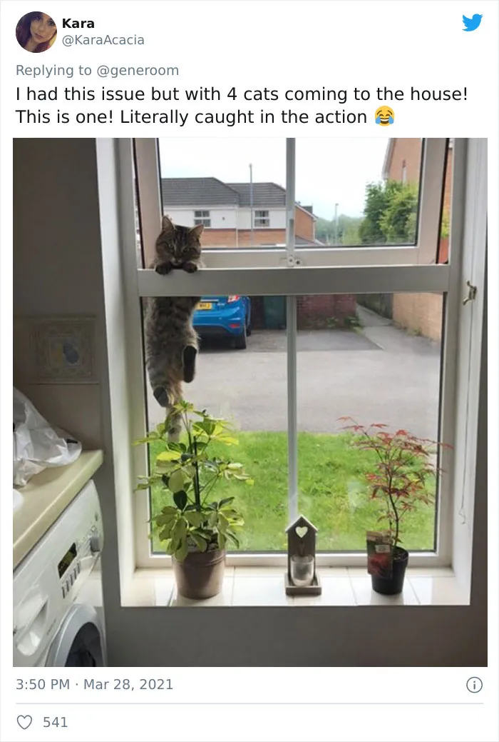 40 "My Cat, Not My Home" And "My Home, Not My Cat" Tweets About Cats That Do What They Want