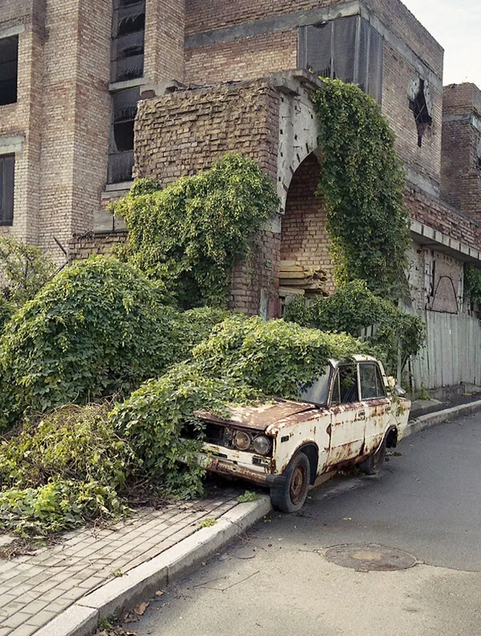Ivy Overtaking A Car