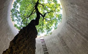 50 Times Nature Won The Battle Against Civilization (New Pics)