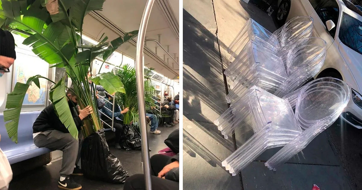 La gente comparte cosas que encontraron tiradas, demostrando lo real de la frase “la basura de alguien es un tesoro para otros” (35 fotos nuevas)