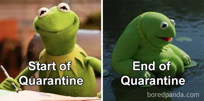 50 Of The Most Accurate Jokes And Memes 'Celebrating' One Year Of The Pandemic