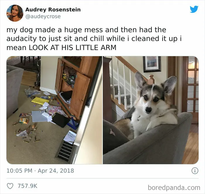 A Position Of No Regret