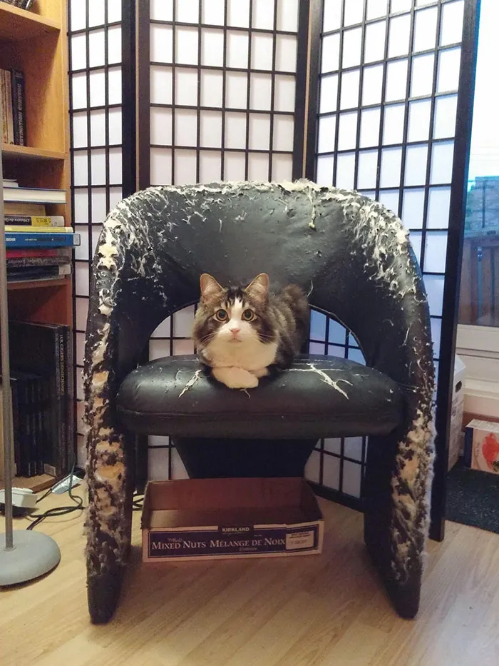 Trono de la destrucción