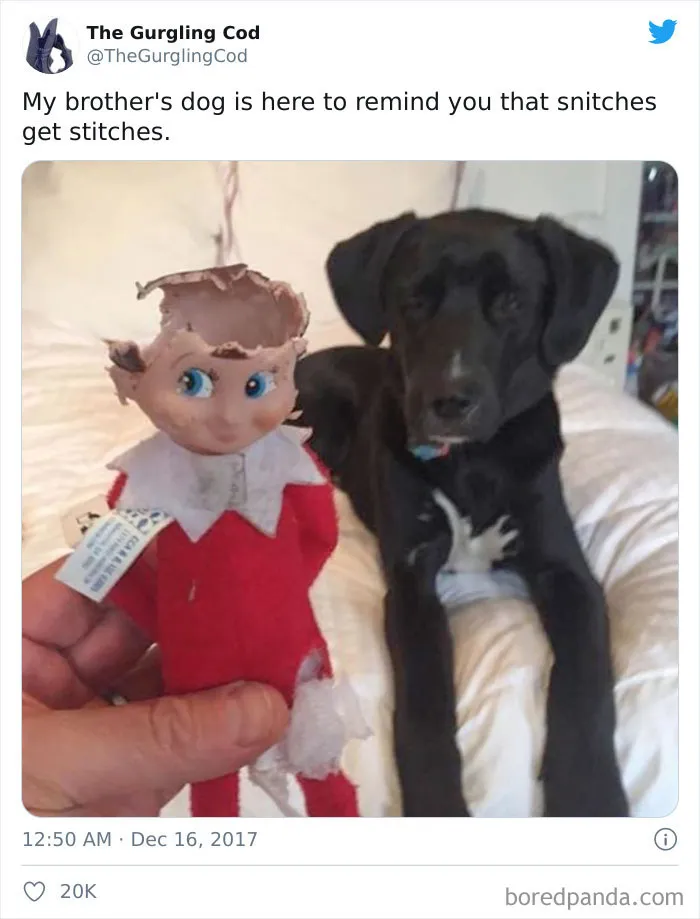 This Guy vs. An Elf
