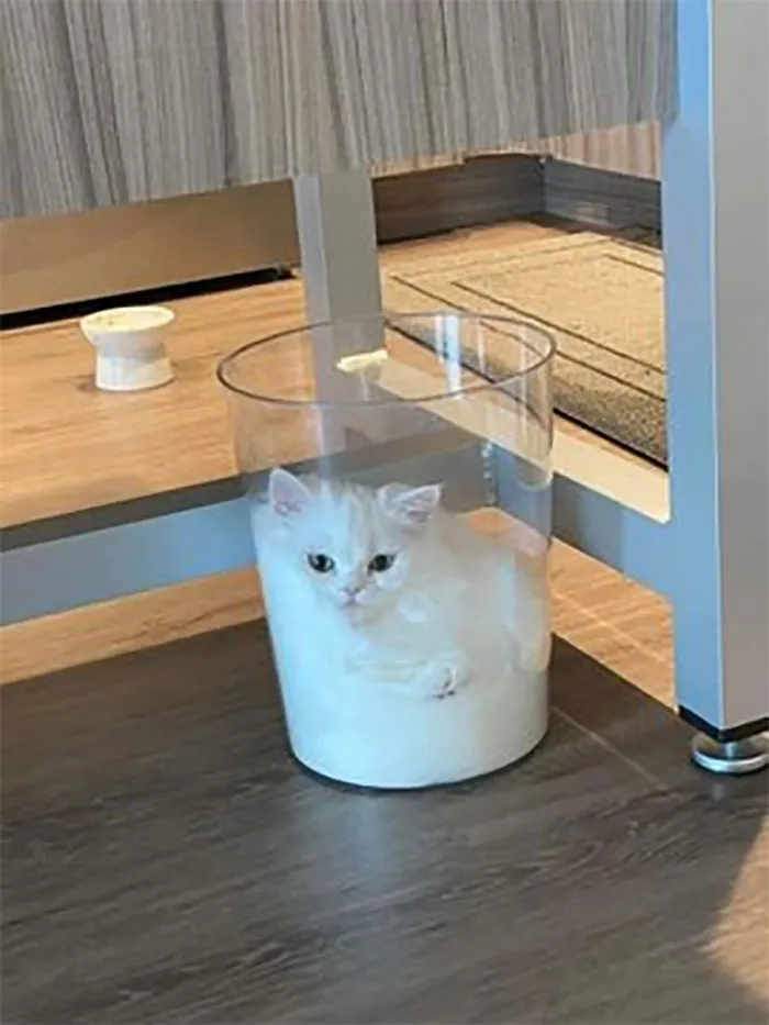 People Are Laughing At These 43 Cats Chilling In Places They Shouldn’t Be, Posted By This Twitter Account