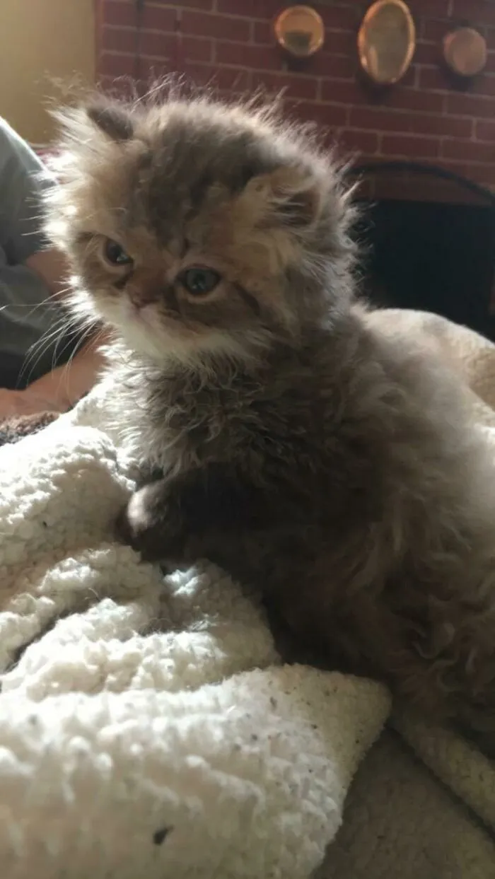 My Baby Boy Chewy