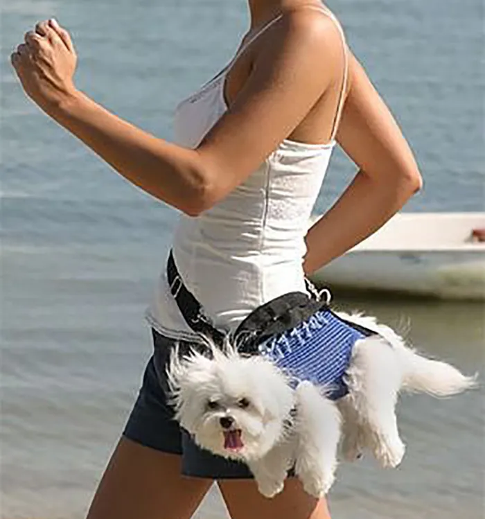 Este porta-perros