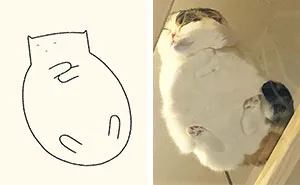 Here Are My 40 Really Bad Cat Drawings To Make You Laugh (New Pics)