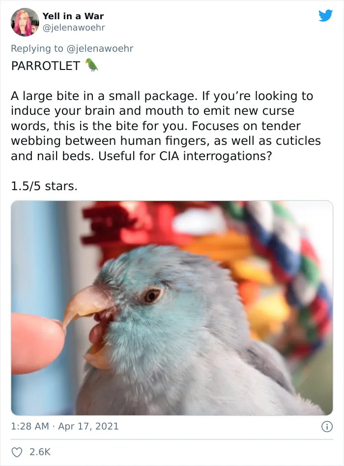 Woman On Twitter Educates People On Getting Bitten By These 20 Different Animals
