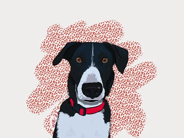 My Puppy, Percy! Done On Procreate