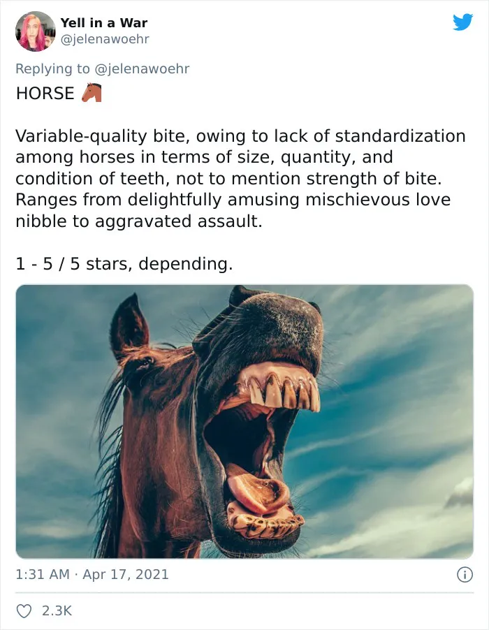 Woman On Twitter Educates People On Getting Bitten By These 20 Different Animals