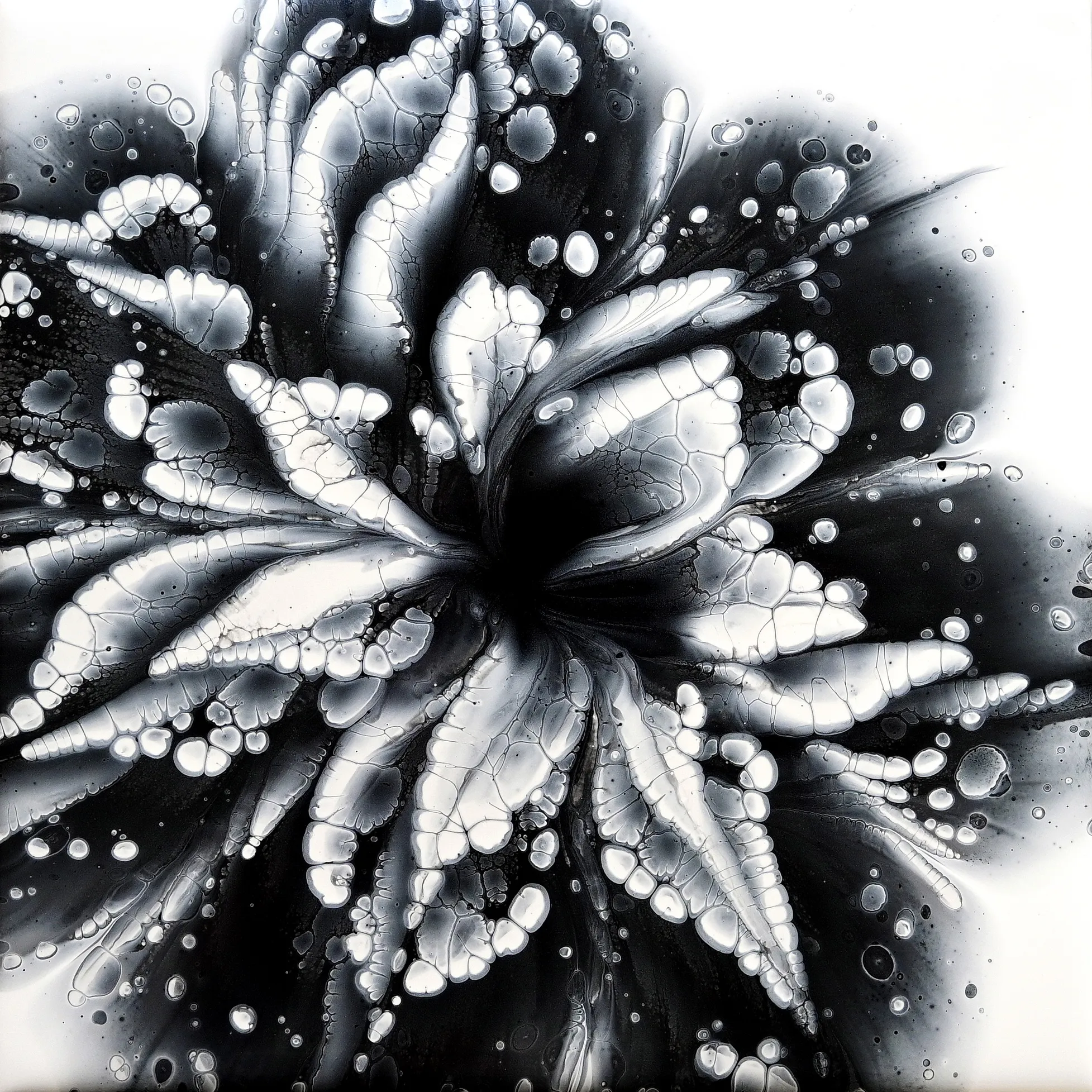 Fluid Art Tutorial ~ Simple Black & White Flower ~ Flower Funnel Reverse Flower Dip
