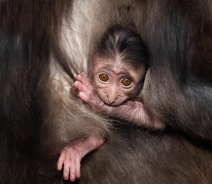 I’ve Been Photographing Wildlife For 15 Years, Here Are My 30 All-Time Favorite Photos