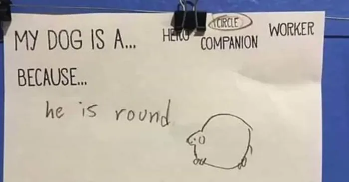 50 Wholesome Memes As Shared By This Page To Brighten Up Your Day