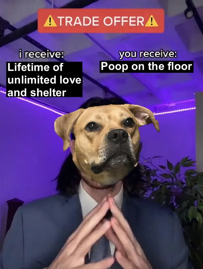 Pet Owner Negotiations
