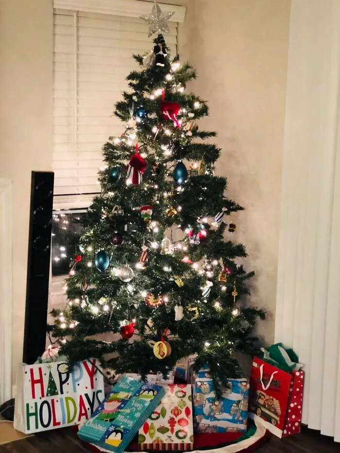 Find The Cat